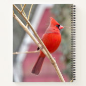 Carnet spiral cardinal rouge (Dos)