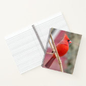 Carnet spiral cardinal rouge (Intérieur)