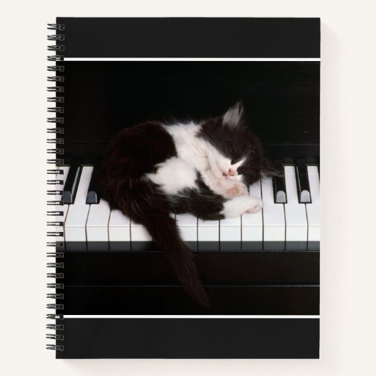 Carnet spiral - Carnet Kitten (Devant)