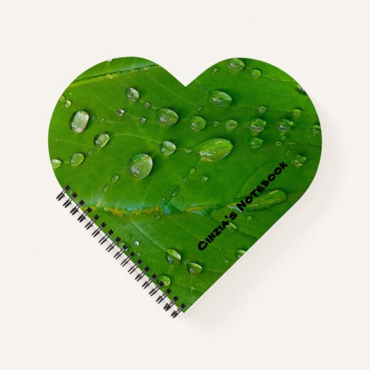 Carnet Spiral Coeur Vert (Devant)