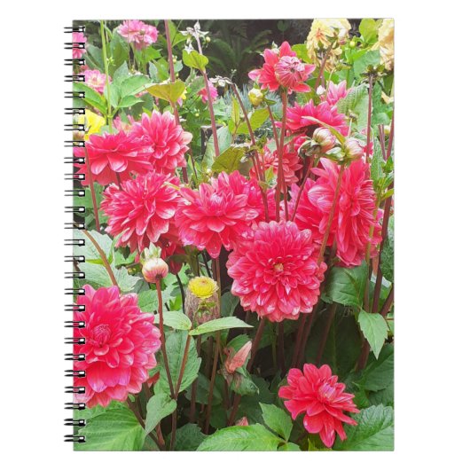 Carnet Spiral Dahlias Rose Profond (Devant)