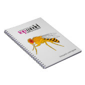 Carnet spiral de Drosophila (Côté Droit)