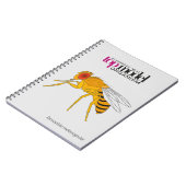 Carnet spiral de Drosophila (Côté gauche)