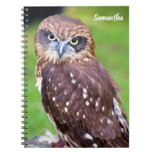 Carnet spiral de hibou