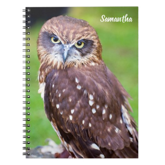 Carnet spiral de hibou (Devant)