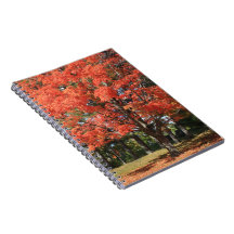 Carnet spiral de l'érable d'automne