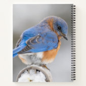 Carnet Spiral de l'Est Bluebird Bird Office (Dos)