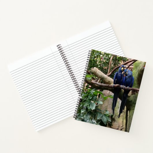 Carnet spiral de perroquet macaw (Intérieur)