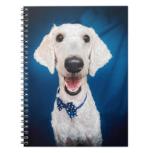 Carnet Spiral De Poodle Souriant