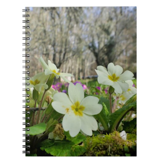 Carnet spiral de Primrose (Devant)