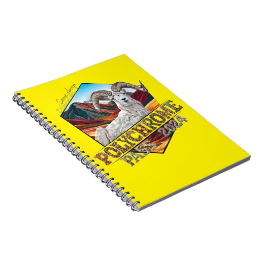 Carnet Spiral de projet polychrome (Côté Droit)