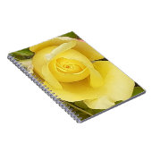 Carnet spiral de Rosebud jaune (Côté Droit)