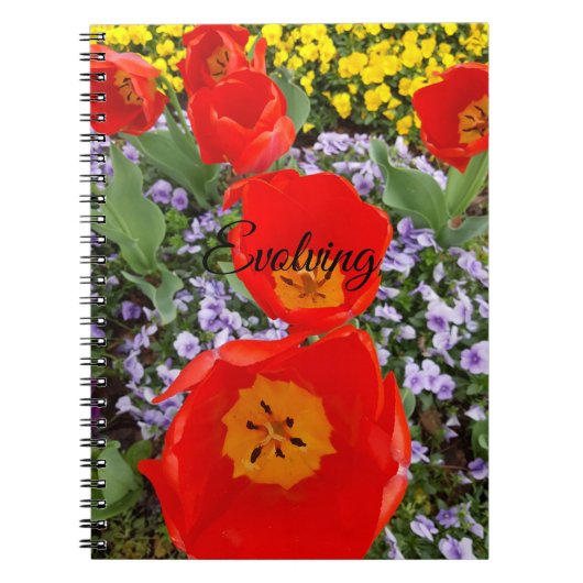 Carnet spiral des tulipes rouges en évolution (Devant)