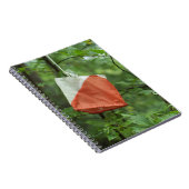 Carnet spiral - Drapeau oriental (Côté Droit)