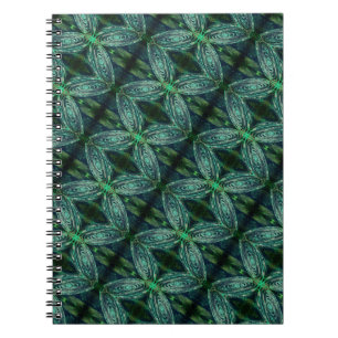 Carnet spiral galaxy