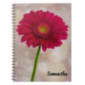Carnet spiral Gerbera rose chaud unique (Devant)