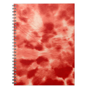 Carnet Spiral Kaleidoscope Psych