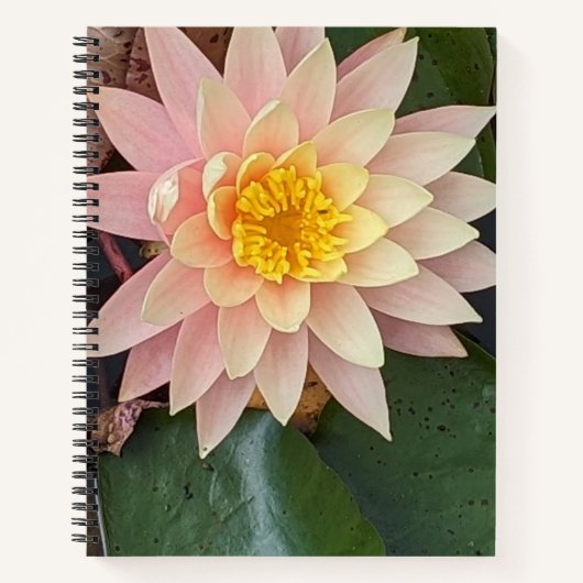 Carnet Spiral Lily D'Eau (Devant)