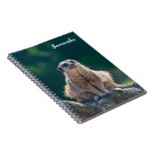 Carnet Spiral Little Meerkat (Côté Droit)