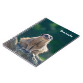 Carnet Spiral Little Meerkat (Côté gauche)