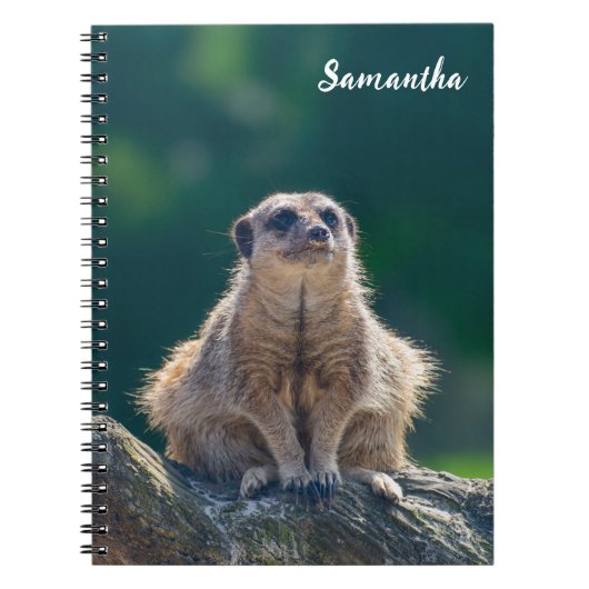 Carnet Spiral Little Meerkat (Devant)