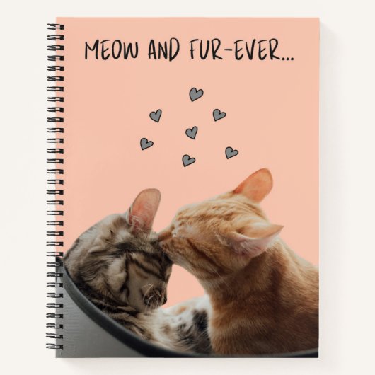 Carnet Spiral, Meow et Fourrure (Devant)