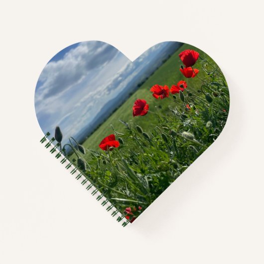 Carnet Spiral Notebook (Devant)