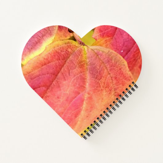 Carnet Spiral Notebook (Dos)