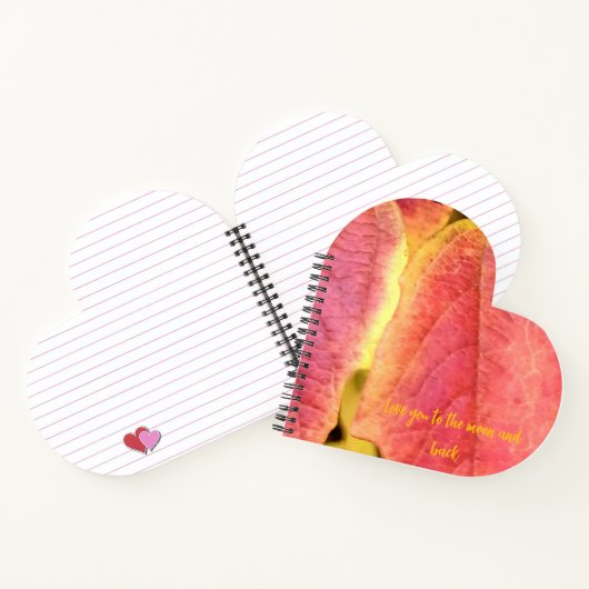 Carnet Spiral Notebook (Intérieur)