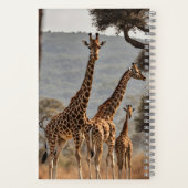 Carnet Spiral Notebook (Verso)