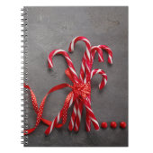 Carnet spiral notebook candy 80 lined pages (Devant)