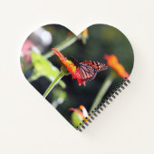 Carnet spiral papillon (Dos)