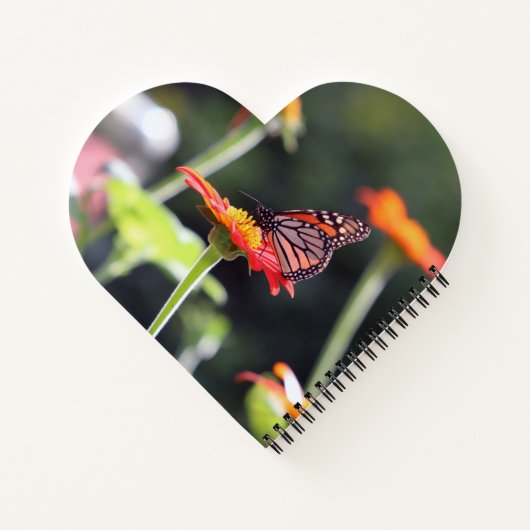 Carnet spiral papillon (Dos)