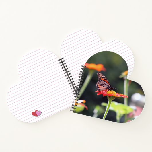 Carnet spiral papillon (Intérieur)