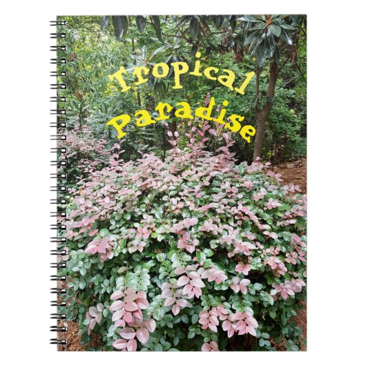 Carnet Spiral Paradis Tropical (Devant)