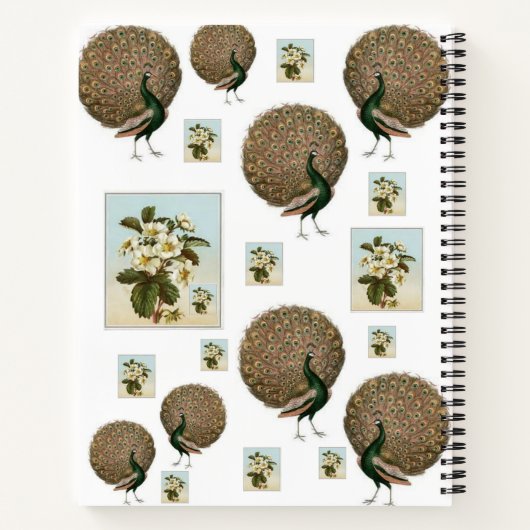 Carnet spiral Peacock (Dos)