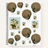 Carnet spiral Peacock (Devant)