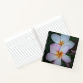 Carnet Spiral Plumeria rose (Intérieur)