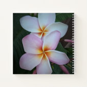 Carnet Spiral Plumeria rose (Dos)