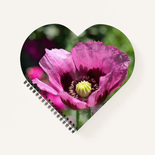Carnet Spiral pourpre (Devant)