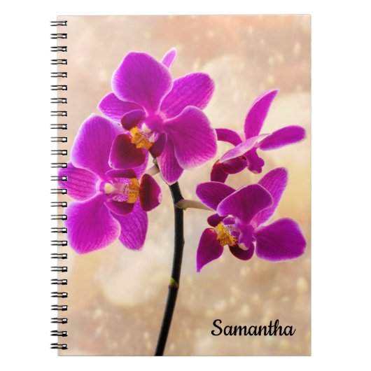 Carnet spiral pourpre orchidée (Devant)