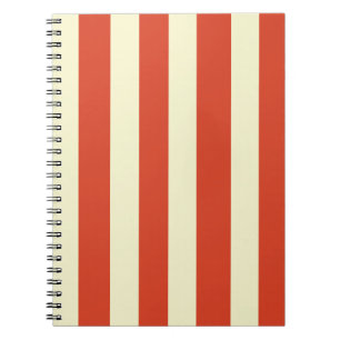 Carnet spiral rétro grand haut rayé