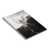 Carnet Spiral Spider (Côté Droit)