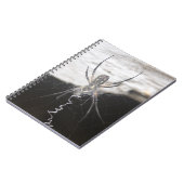 Carnet Spiral Spider (Côté gauche)