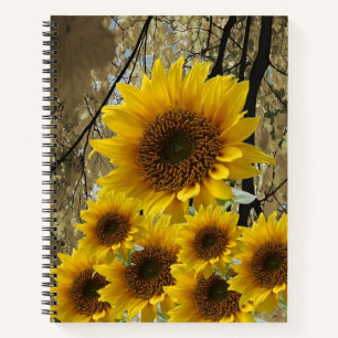 Carnet spiral tournesol