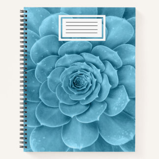 Carnet spiral turquoise