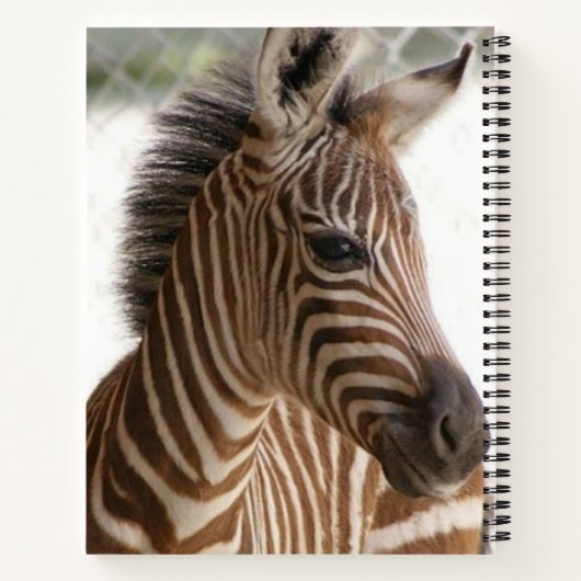 Carnet spiral Zebra (Dos)