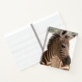 Carnet spiral Zebra (Intérieur)