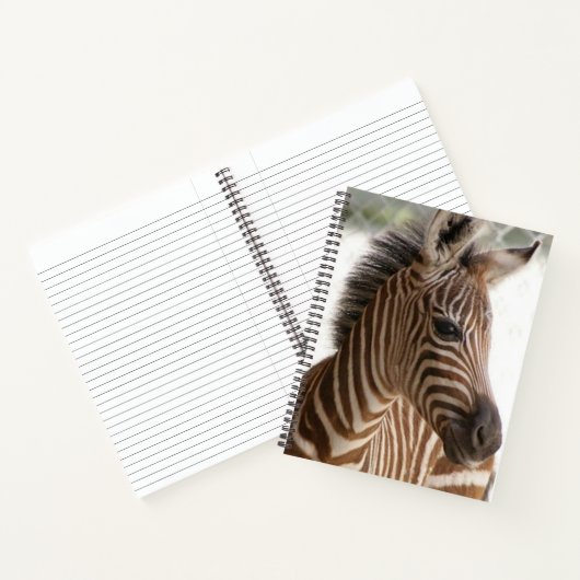 Carnet spiral Zebra (Intérieur)