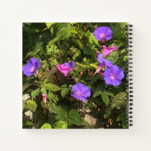 Carnet spirale Aquarelle Matin Glories Design (Dos)